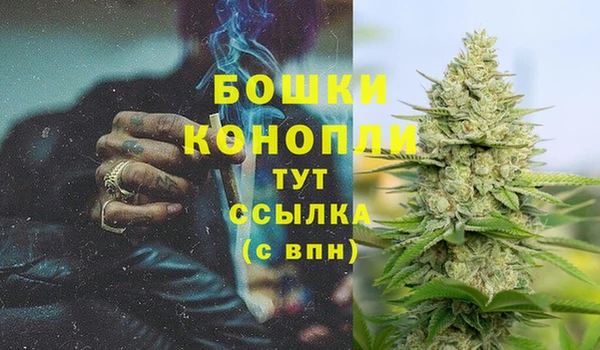 бошки Волоколамск