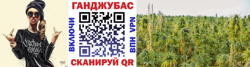 Каннабис планчик Томилино
